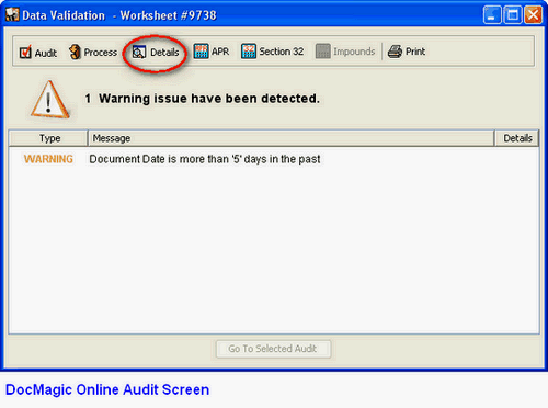 Audit Loan Details